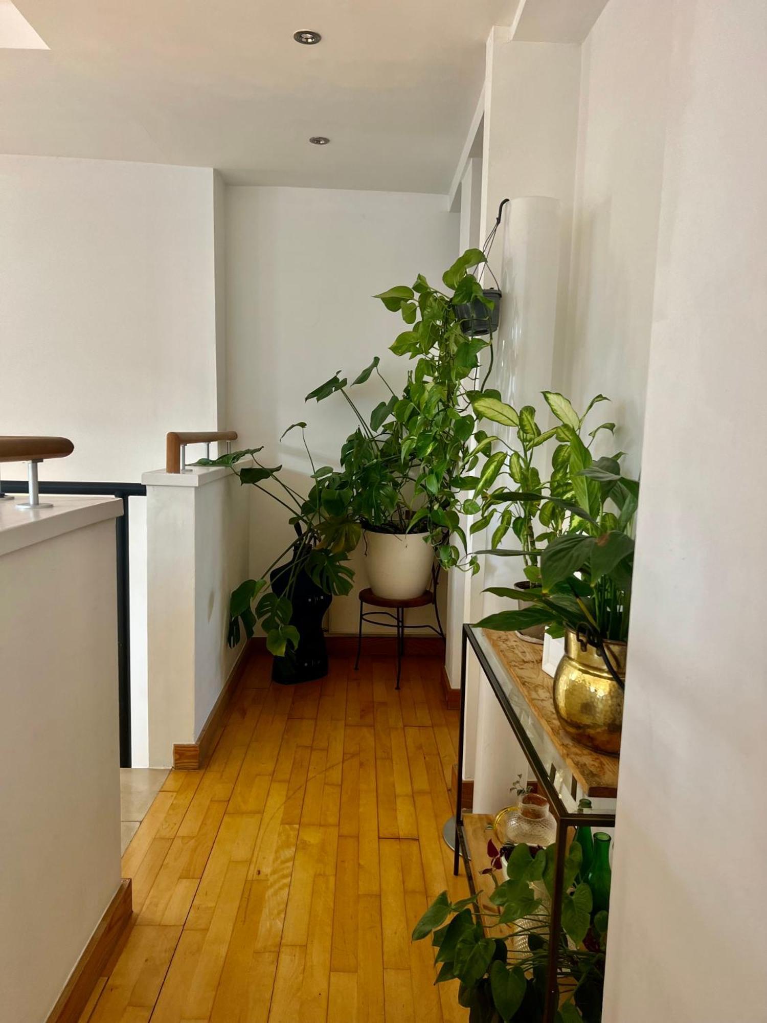 Huge In Loft With Sauna In Londra