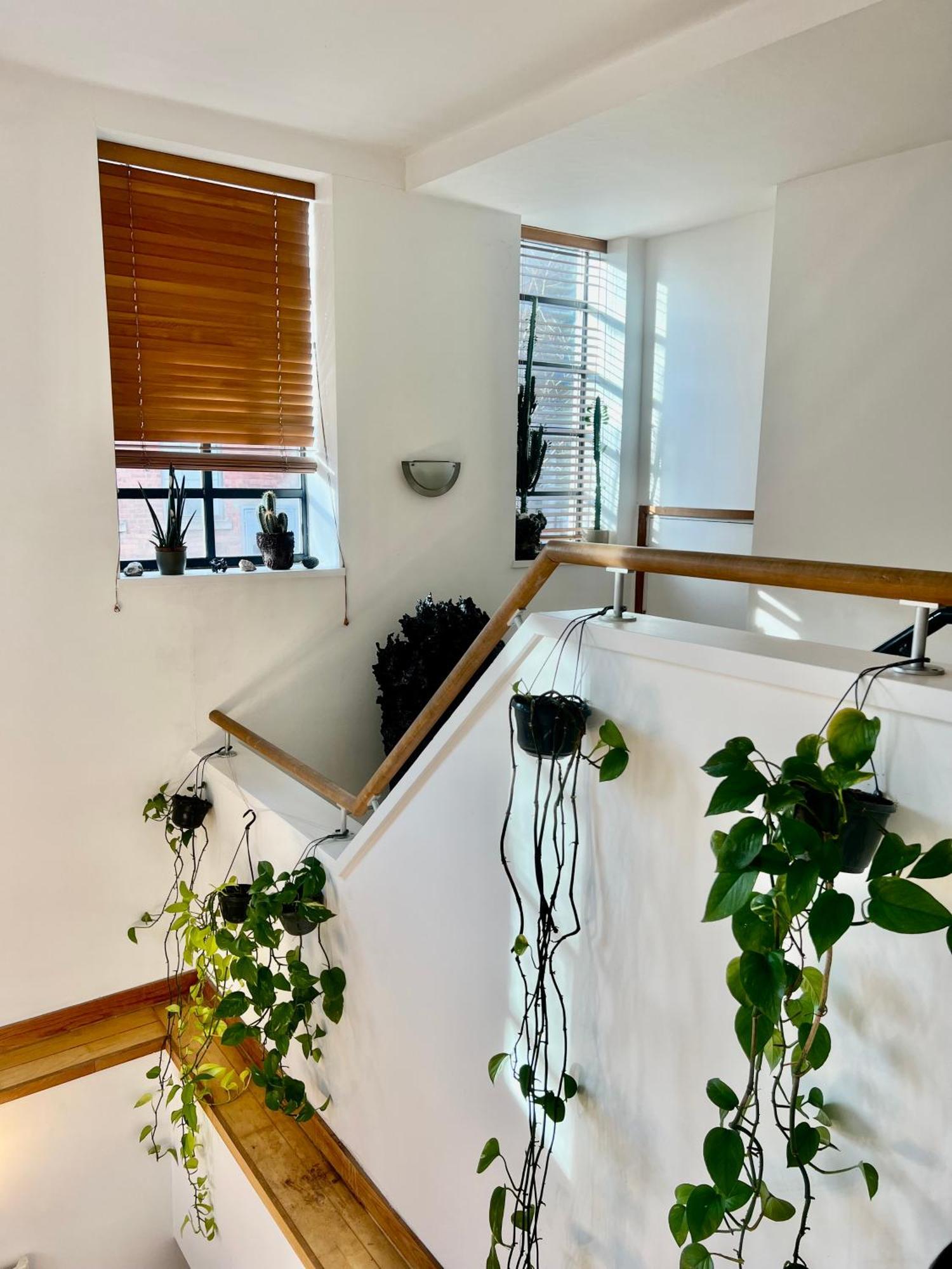 Huge In Loft With Sauna In